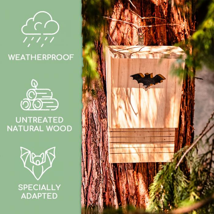 Nichoir pour chauve-souris habitable toute l'année aide à l'hivernage en  bois de pin
